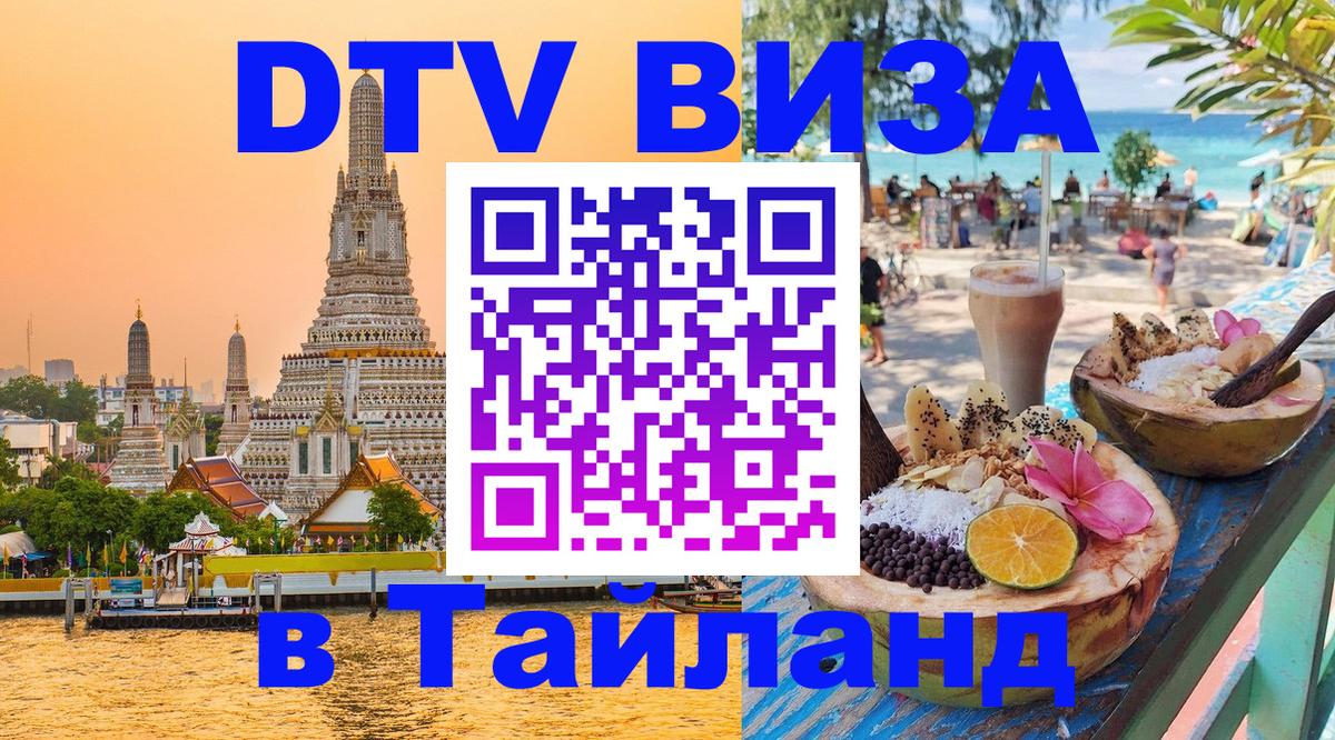 Оформление DTV визы под ключ: стоимость и тарифы, только загранпаспорт - Пенза 